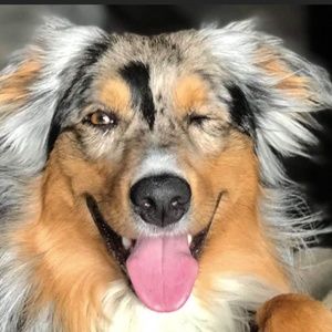 Meet your Posher, Logan